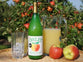 Owlets Fruit Juices - Various - 1 litre