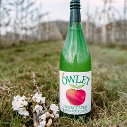 Owlets Fruit Juices - Various - 1 litre