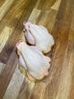 Poussin Chickens x 2